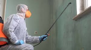 Mold Removal & Remediation