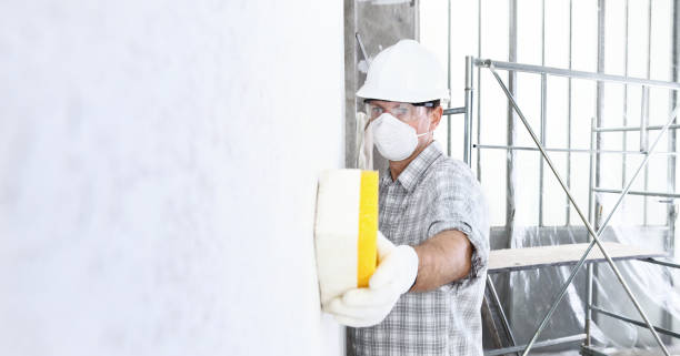 Trusted Claremont, CA Mold Removal & Remediation Experts